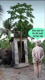 Chuyện vui DO...BÚ KÉ !