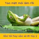 Chuyện vui CÁI...SỰ ĐỜI !