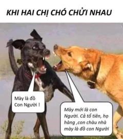 Chuyện vui NGƯỜI NÀO LÀ BỐ CHÁU ?
