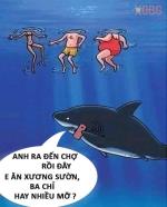 Chuyện vui ĐẠI TANG !