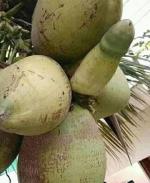 Chuyện vui BÁN CÁI ĐỊNH MUA !