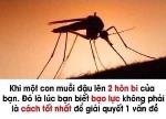 Chuyện vui CỨ CÒN BÚ MẸ LÀ TRẺ EM...!