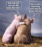 Chuyện vui ÁC MỘNG !