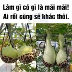 Chuyện vui LÝ DO CHỒNG NGOẠI TÌNH !