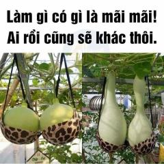 Chuyện vui LÝ DO CHỒNG NGOẠI TÌNH !