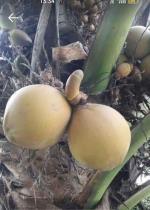 Chuyện vui RÚT KINH NGHIỆM !