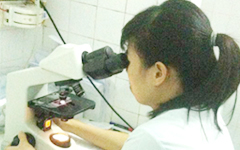 Vô sinh hiếm muộn