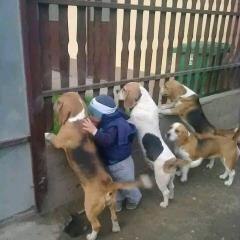 Chuyện vui ĐÂU CÓ BAO NHIÊU...