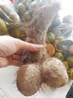 Chuyện vui ĐIỀU ƯỚC...!