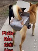 Chuyện vui KHÔNG ĐIÊN MỚI LẠ...